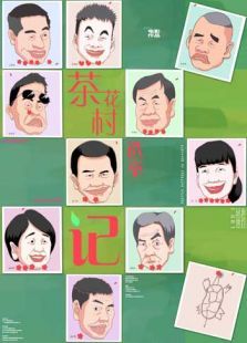 茶花村选举记